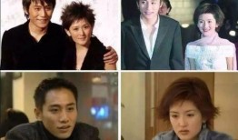 娱乐吃瓜酱刘烨,娱乐圈的“吃瓜酱”，揭秘明星幕后故事