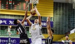 李宁篮球爆料视频大全集,揭秘运动传奇背后的精彩瞬间