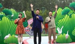 宁夏吴某爆料新闻视频最新,揭秘新闻背后的惊人真相